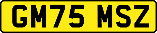 GM75MSZ