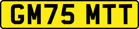 GM75MTT