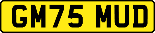 GM75MUD
