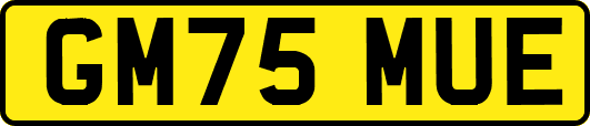 GM75MUE