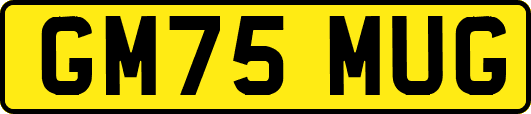 GM75MUG