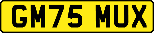 GM75MUX