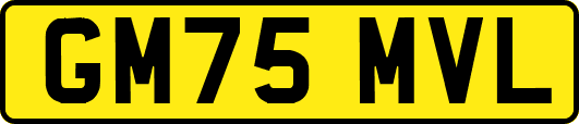 GM75MVL