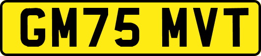 GM75MVT