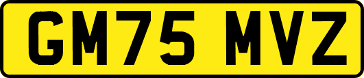 GM75MVZ
