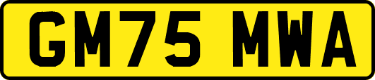 GM75MWA