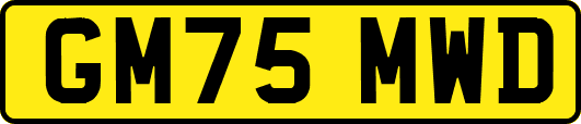GM75MWD