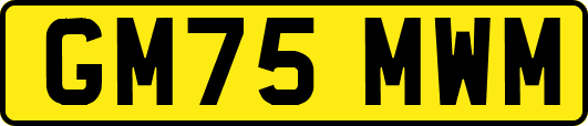 GM75MWM
