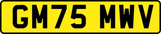 GM75MWV