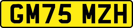 GM75MZH