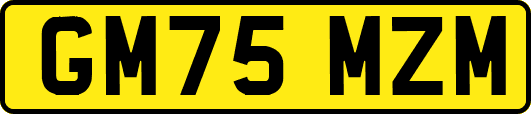 GM75MZM