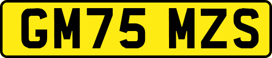 GM75MZS