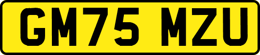 GM75MZU