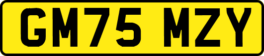 GM75MZY