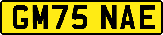 GM75NAE