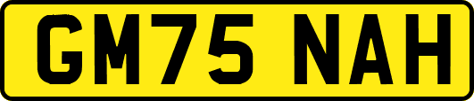 GM75NAH