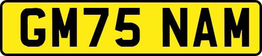 GM75NAM