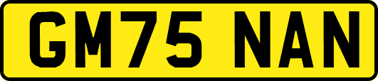 GM75NAN