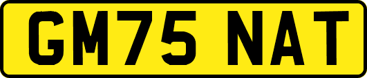 GM75NAT