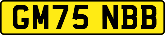 GM75NBB