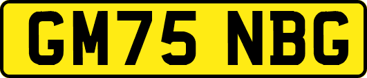 GM75NBG