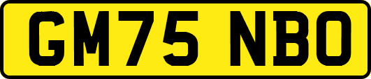 GM75NBO