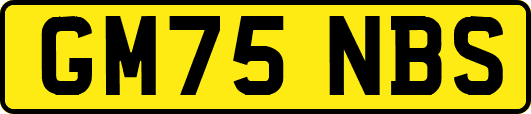 GM75NBS