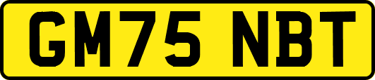 GM75NBT