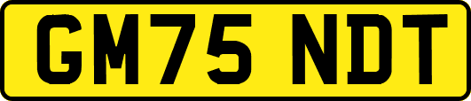 GM75NDT