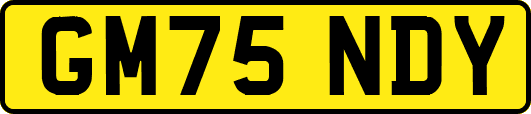 GM75NDY