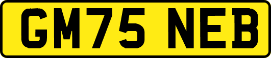 GM75NEB