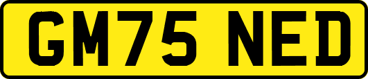 GM75NED