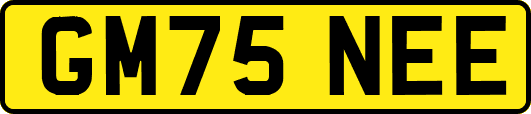 GM75NEE
