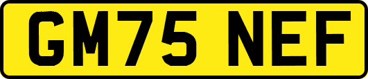 GM75NEF