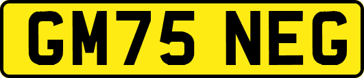 GM75NEG