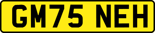 GM75NEH