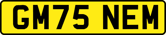 GM75NEM