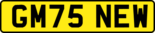 GM75NEW