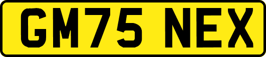 GM75NEX