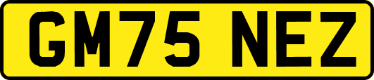 GM75NEZ