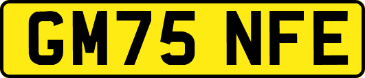 GM75NFE