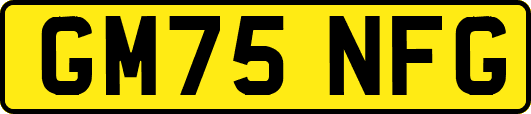 GM75NFG