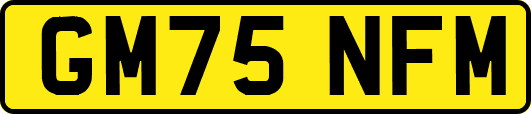 GM75NFM