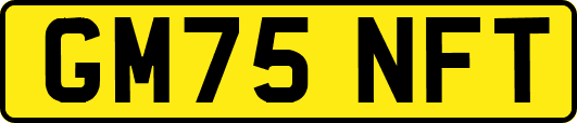 GM75NFT