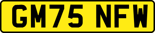 GM75NFW