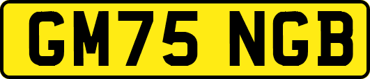 GM75NGB