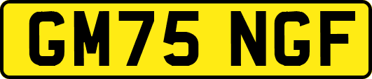 GM75NGF
