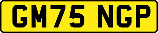 GM75NGP