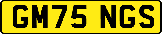 GM75NGS
