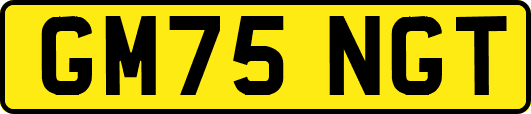 GM75NGT